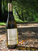 Mondeuse Blanche